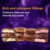image:imageRUSSELL STOVER Fall Milk Chocolate Marshmallow Pumpkin 13 oz Pack of 18Chocolate