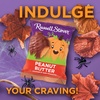 image:imageRUSSELL STOVER Fall Milk Chocolate Marshmallow Pumpkin 13 oz Pack of 18Peanut Butter