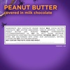 image:imageRUSSELL STOVER Fall Milk Chocolate Marshmallow Pumpkin 13 oz Pack of 18Peanut Butter
