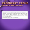 image:imageRUSSELL STOVER Fall Milk Chocolate Marshmallow Pumpkin 13 oz Pack of 18Raspberry