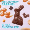 image:imageRussell Stover Milk Chocolate Easter Rabbit 7 ozCaramel