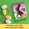 image:imageRussell Stover Milk Chocolate Easter Rabbit 7 ozDark Chocolate