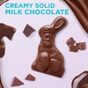 image:imageRussell Stover Milk Chocolate Easter Rabbit 7 ozMilk Chocolate