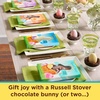 image:imageRussell Stover Milk Chocolate Easter Rabbit 7 ozPeanut Butter