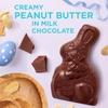 image:imageRussell Stover Peanut Butter Milk Chocolate Easter Bunny Candy 3 Oz 12 Count