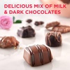 image:imageRussell Stover Red Foil Heart 10 Ounce  Chocolate Gift Box for Valentines Day Mothers Day Anniversary and BirthdaysAssorted Chocolates