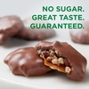 image:imageRUSSELL STOVER Sugar Free Pecan Delight Chocolate Candy 155 oz bag  ZERO SUGAR STEVIA EXTRACT DESSERT SNACKING ASSORTED CHOCOLATE ASSORTED FLAVORSAssorted