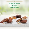 image:imageRUSSELL STOVER Sugar Free Pecan Delight Chocolate Candy 155 oz bag  ZERO SUGAR STEVIA EXTRACT DESSERT SNACKING ASSORTED CHOCOLATE ASSORTED FLAVORSNuts