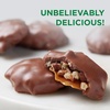 image:imageRUSSELL STOVER Sugar Free Pecan Delight Chocolate Candy 155 oz bag  ZERO SUGAR STEVIA EXTRACT DESSERT SNACKING ASSORTED CHOCOLATE ASSORTED FLAVORSNuts