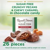 image:imageRUSSELL STOVER Sugar Free Pecan Delight Chocolate Candy 155 oz bag  ZERO SUGAR STEVIA EXTRACT DESSERT SNACKING ASSORTED CHOCOLATE ASSORTED FLAVORSPecans  Caramel