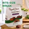 image:imageRUSSELL STOVER Sugarfree Assorted Caramels in Chocolate Candy 153 oz bag 3 Pack153 OZ Pack of 1