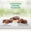image:imageRUSSELL STOVER Sugarfree Assorted Caramels in Chocolate Candy 153 oz bag 3 Pack153 OZ Pack of 2
