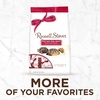 image:imageRussell Stover Pecan Delight Gusset Bag 1610 Ounce Russel Stover Milk Chocolate Covered Candy Pack Crunchy Pecans and Buttery Caramel Covered In Sweet Milk Chocolate Candy Individually Wrapped161 Ounce Pack of 1