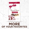 image:imageRussell Stover Pecan Delight Gusset Bag 1610 Ounce Russel Stover Milk Chocolate Covered Candy Pack Crunchy Pecans and Buttery Caramel Covered In Sweet Milk Chocolate Candy Individually Wrapped161 Ounce Pack of 2