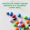 image:imageRussell Stover Sugar Free Chocolate Candy Coated Peanut Gems 75 Ounce Bag75 oz