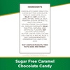 image:imageRussell Stover Sugar Free Pecan Delights with Stevia 10 oz Bag  ZERO SUGAR STEVIA EXTRACT DESSERT SNACKING ASSORTED CHOCOLATE ASSORTED FLAVORSCaramels