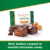 image:imageRussell Stover Sugar Free Pecan Delights with Stevia 10 oz Bag  ZERO SUGAR STEVIA EXTRACT DESSERT SNACKING ASSORTED CHOCOLATE ASSORTED FLAVORSCaramels