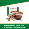 image:imageRussell Stover Sugar Free Pecan Delights with Stevia 10 oz Bag  ZERO SUGAR STEVIA EXTRACT DESSERT SNACKING ASSORTED CHOCOLATE ASSORTED FLAVORSPeanut Butter Cup