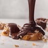 image:imageRussell Stover Sugar Free Pecan Delights with Stevia 10 oz Bag  ZERO SUGAR STEVIA EXTRACT DESSERT SNACKING ASSORTED CHOCOLATE ASSORTED FLAVORSPecan Delight