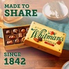 image:imageWhitmans Sampler Mothers Day Assorted Chocolates 10 Ounce 22 Pieces  CHOCOLATE GIFT BOX TREAT DESSERT SNACKING CHOCOLATE TRUFFLES GIFT GIVING CHOCOLATES ASSORTED FLAVORS